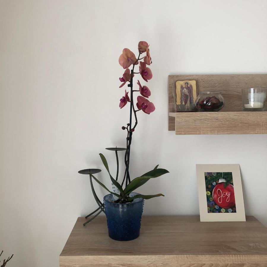 Apartament Grig Apartament Bukareszt Zewnętrze zdjęcie